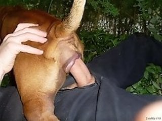 ZooXXXPorn
