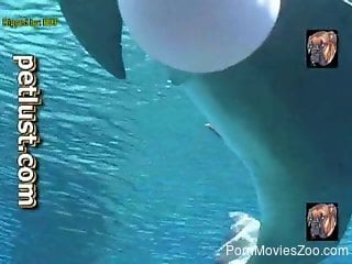 Underwater fetish fantasy for a zoophilia sex lover