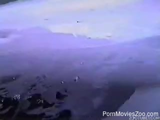 Horny man finger fucks dolphin in kinky outdoor tryout