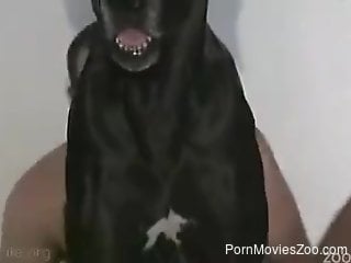 Amateur cam porn with a naked man fucking his dog