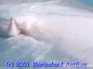 Dirty animal shows off its freak dolphin dick