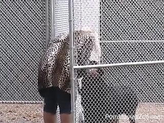 Dog Porn