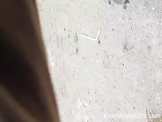 Perverted zoophile is sucking big dogs cock