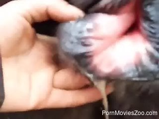 Hardcore zoophilia porn shooting outdoors