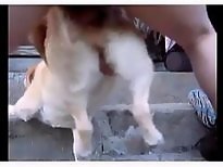 BeastVids