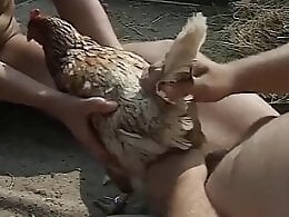 Animal porn and bestiality