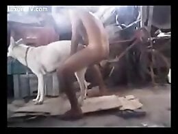Free zoo porn tube