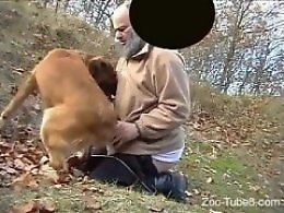 Zoophilia porn and animal sex