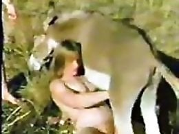 Zoo porn and zoo sex video
