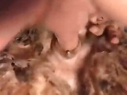 Animal porn videos and ZOO PORN