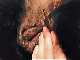XXX bestiality zoo porn