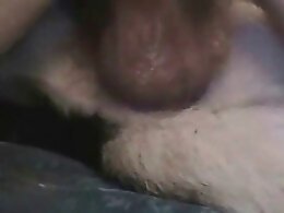 Zoo Porn