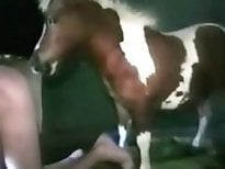 ZOO Porn and bestiality tube