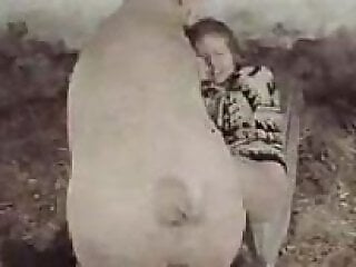 Extreme Animal Porn