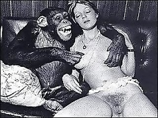 XXX Zoo Porn