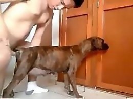 Free zoo porn tube