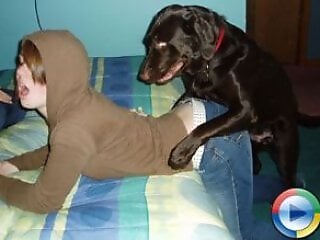 Animal porn videos and ZOO PORN