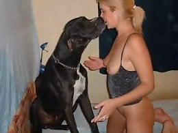 Animal porn videos and ZOO PORN